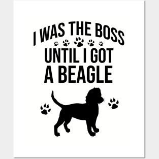 I was the boss until I got a beagle Posters and Art